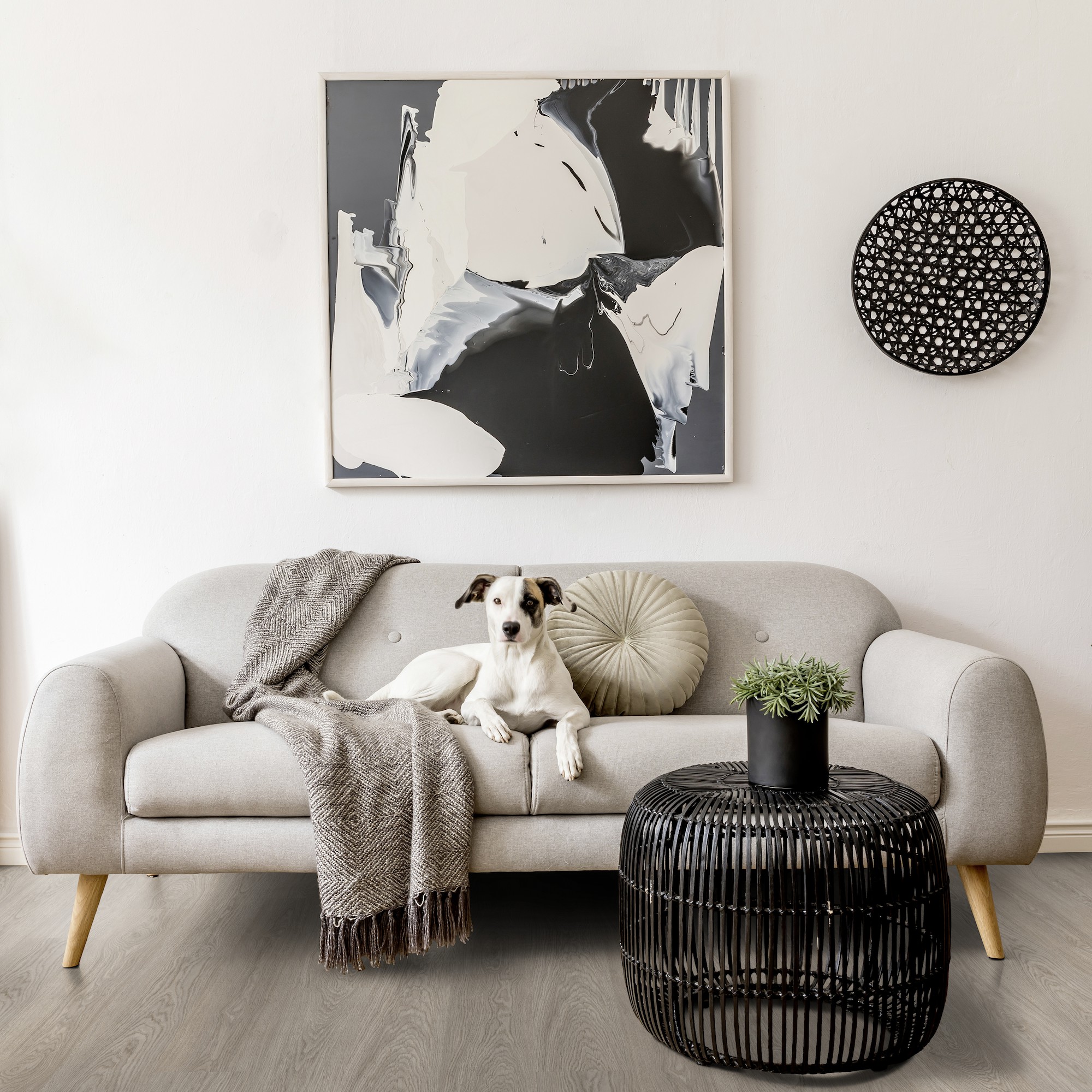 Greenland Grey salon