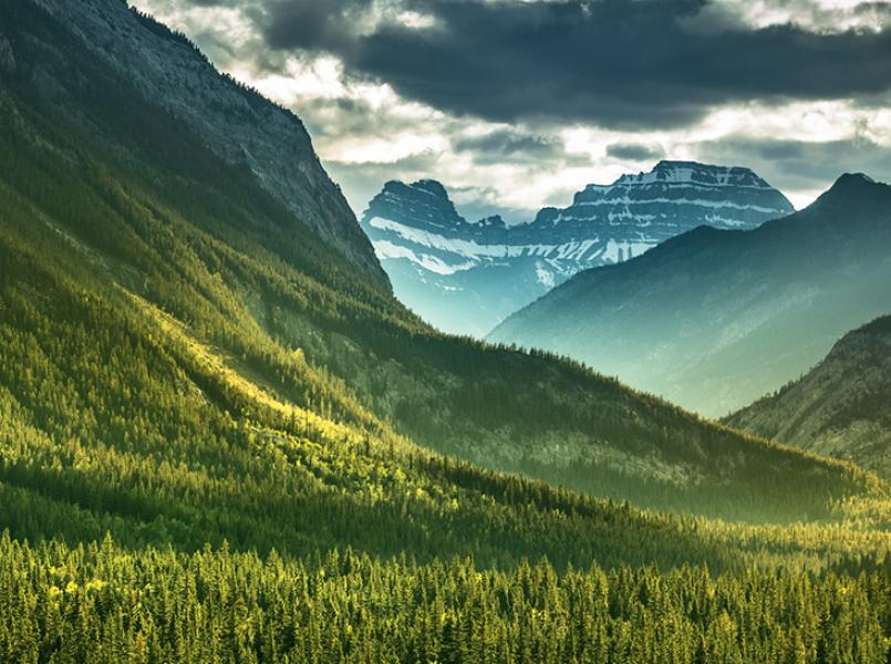 Gerflor environnement engagements carbone