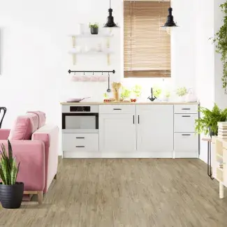 Muscade - Room Scene View